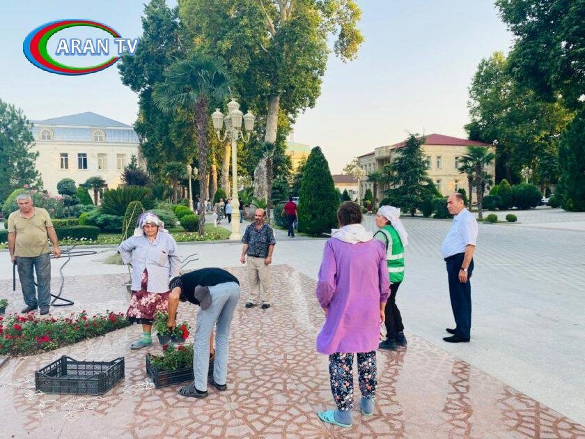 Bərdə rayonunda abadlıq işləri davam etdirilir VİDEO+FOTO