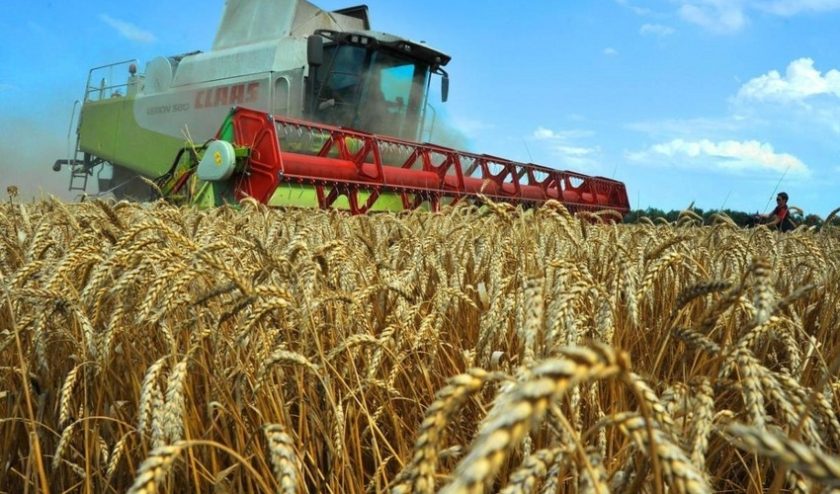 Dünyada buğda böhranı və Bakının planı