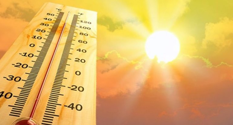 Bu ölkədə havanın temperaturu rekord həddə çatdı
