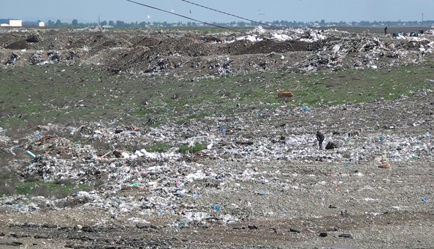 Gəncədə zibillikdə ölü uşaq tapıldı – Prokurorluq araşdırmaya başladı