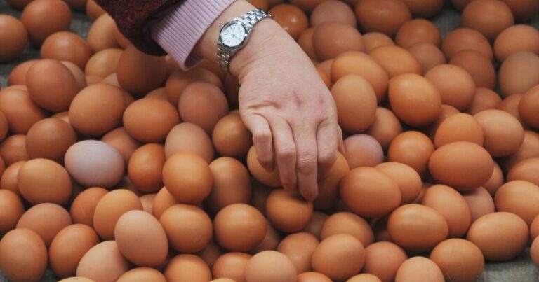 Qiymətlər geri qayıdacaq? – İqtisadçı yumurta bazarındakı vəziyyəti şərh etdi