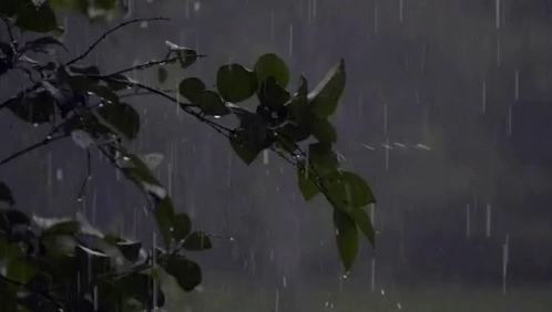 Sabah regionlarda yağış yağacaq – HAVA PROQNOZU