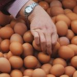 Sumqayıtda yumurta qıtlığı: Qiymət bahalaşacaq, yoxsa? – VACİB AÇIQLAMA