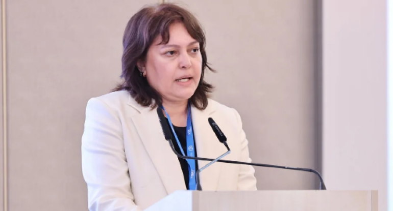 Umayra Tağıyeva: Azərbaycan iqlim riskləri ilə üzləşir