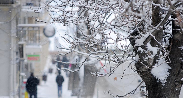 Dəhşətli bir qış gəlir – Havalar… “Həm payızda, həm də qışın əvvəlində dünyanın orta temperaturu normadan bir qədər yüksək olacaq”.