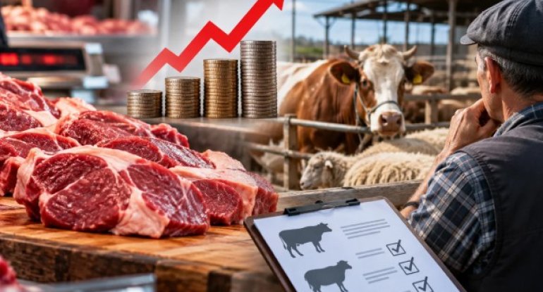 Ət bazarı üçün yeni risk: Fermerləri hansı dəyişikliklər gözləyir? – FOTO