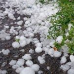 Tovuza dolu düşüb – (Video)