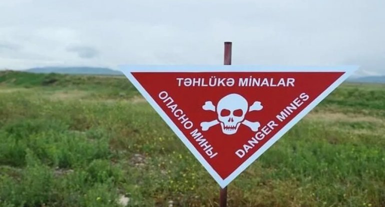 Azərbaycanda mina qurbanlarının sayı açıqlandı