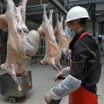 Heyvan kəsiminə çəki və yaş həddi qoyulur – Ət bazarında QITLIQ yarancaq?