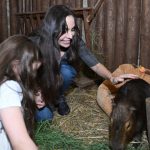 Leyla Əliyeva Şamaxıda “Capybara Azerbaijan” fermasında olub