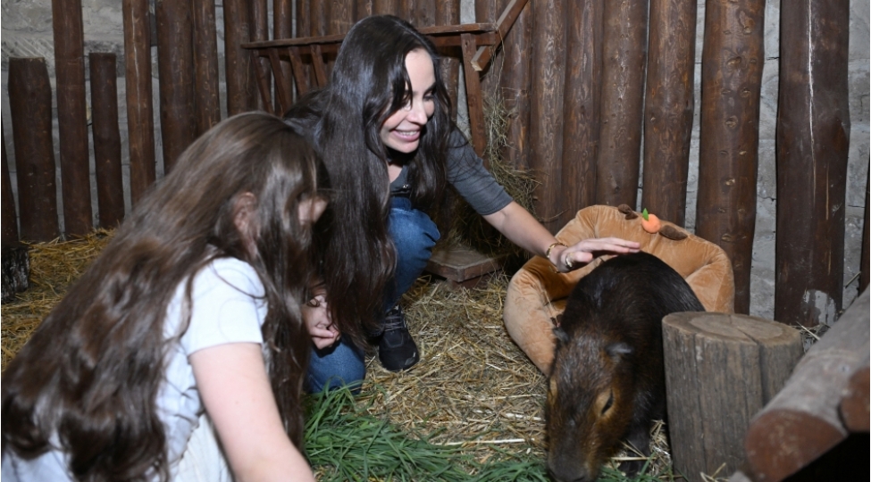 Leyla Əliyeva Şamaxıda “Capybara Azerbaijan” fermasında olub