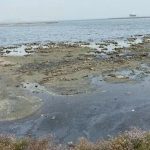 Xəzəryanı ölkələr “iqlim qaçqınları” ilə üzləşə bilər
