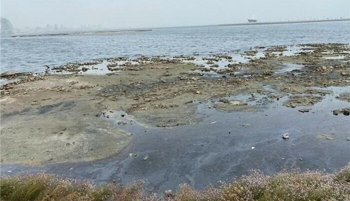 Xəzəryanı ölkələr “iqlim qaçqınları” ilə üzləşə bilər
