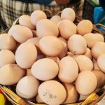 Kənd yumurtasının qiyməti 40 qəpiyə çatdı: “Daha da bahalaşacaq”